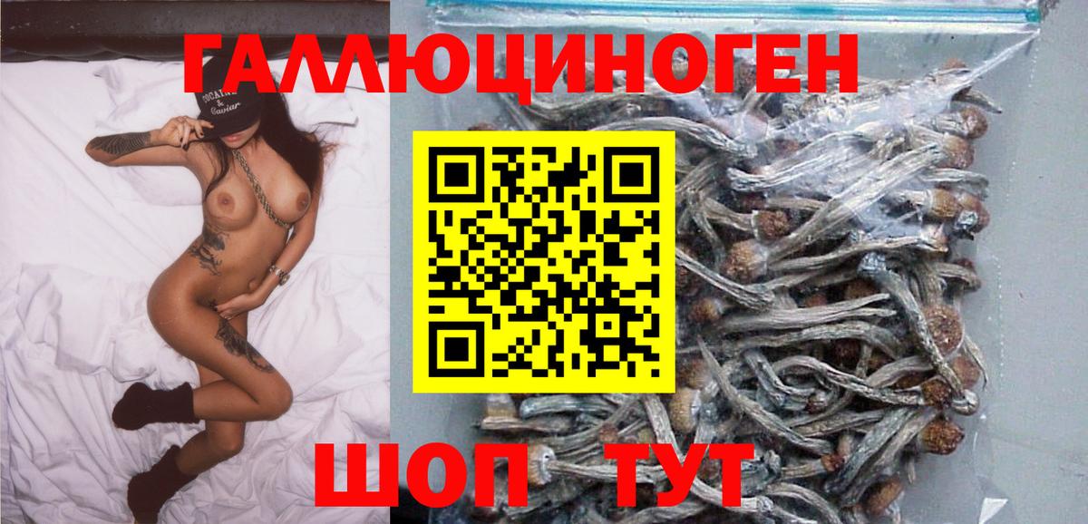 Междуреченск  Псилоцибиновые грибы прущие грибы  где найти наркотики  Галлюциногенные грибы ЛСД  Вход с VPN 