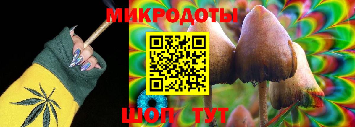 Псилоцибиновые грибы GOLDEN TEACHER Междуреченск
